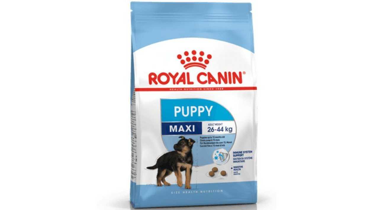 Royal Canin Maxi Puppy сухой корм для щенков крупных собак, мешок 15 кг