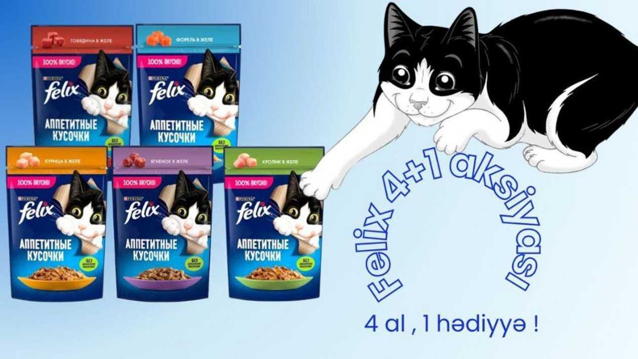Акция 4+1  Felix Аппетитные Кусочки влажный корм для взрослых кошек, 5 пакетиков по 75 г