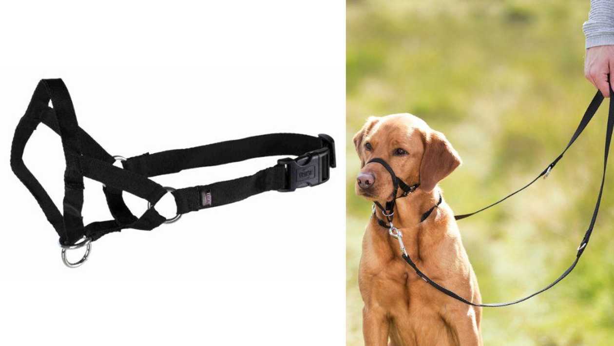 Trixie Top Trainer Training Harness Учебная петля, размер S, 22 см