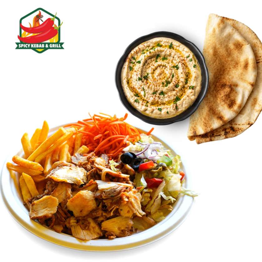 Mega Kebab Platter + Mutabal with Pita