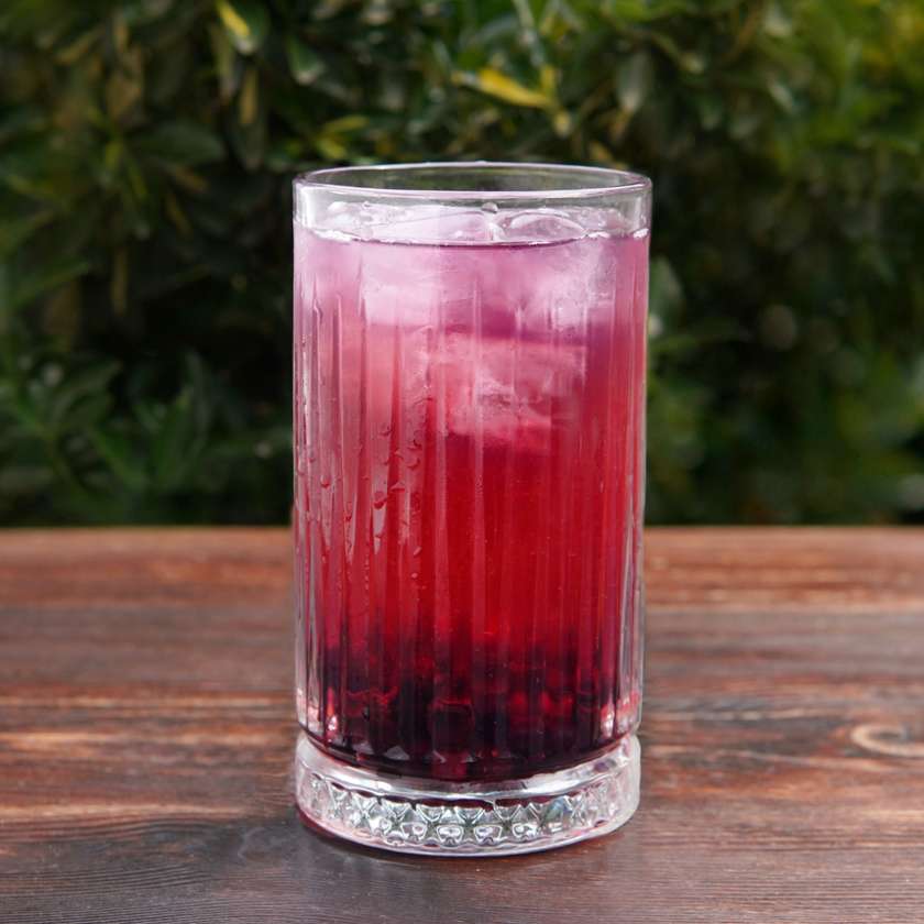 Gin & Tonic Blackcurrant