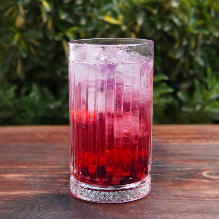 Gin & Tonic Berry