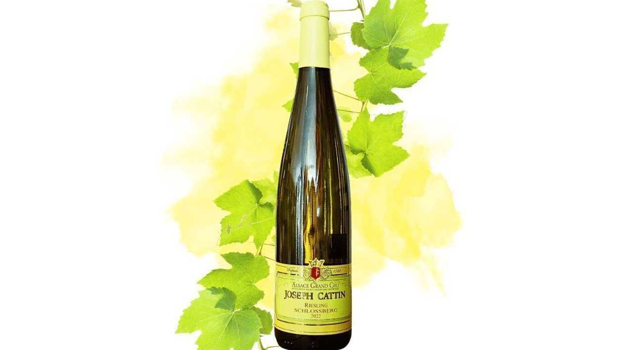 Riesling From Alsace - Joseph Cattin - 2024