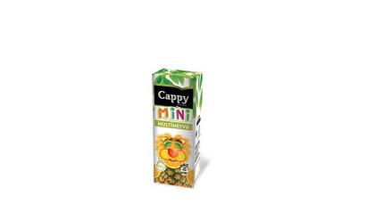 Cappy® multimeyvə 200