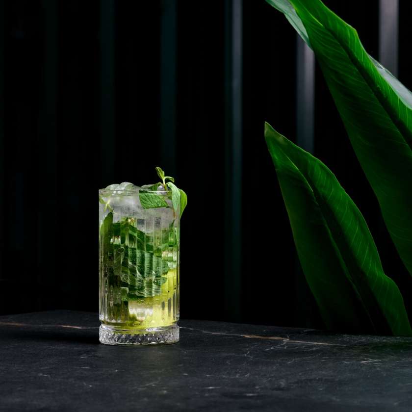 Non-Alcoholic Mojito