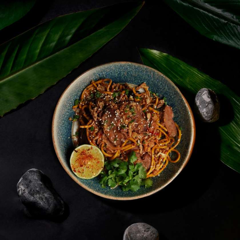 Duck Udon