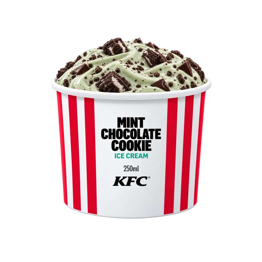 Ice Cream Tub Mint Choc
