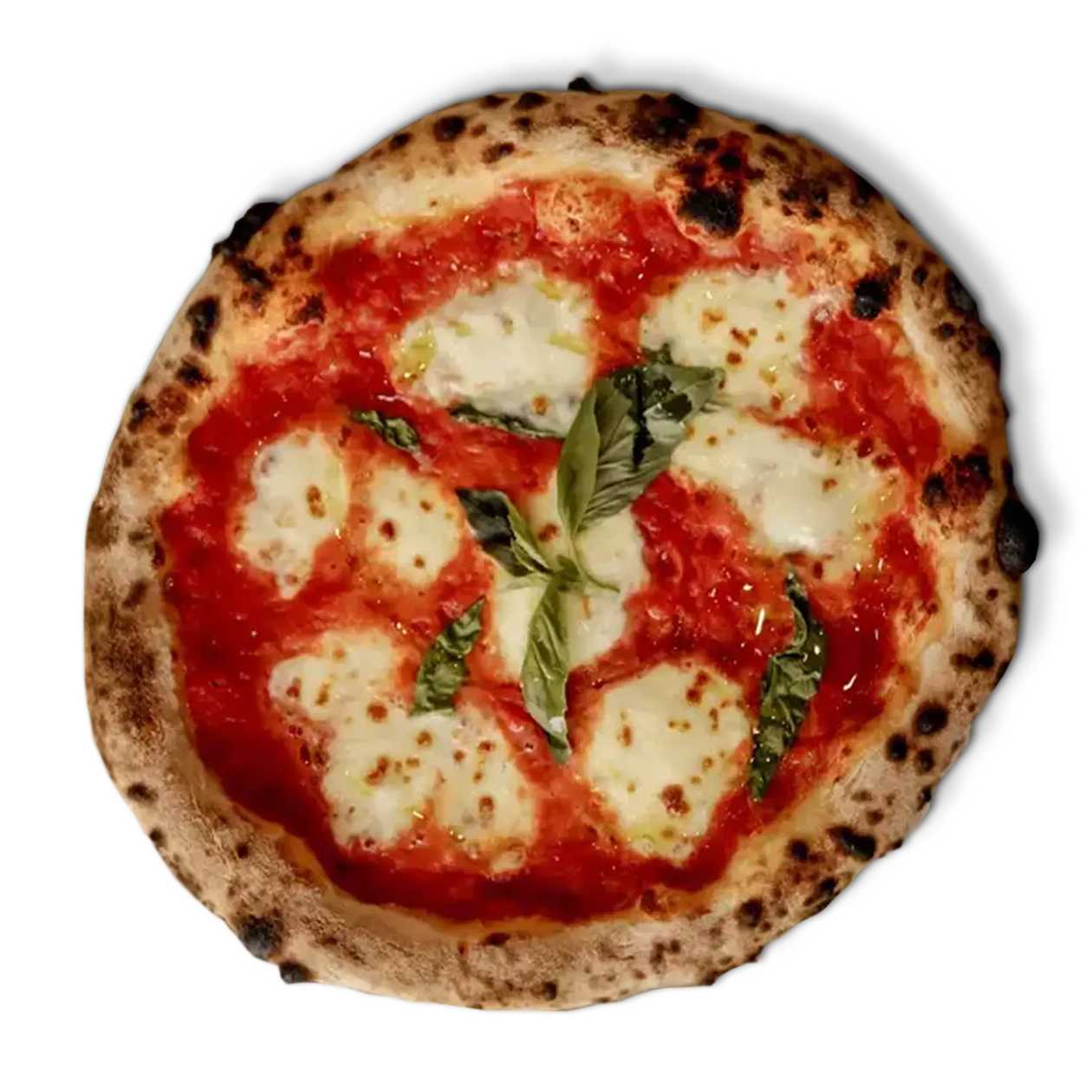 Margherita