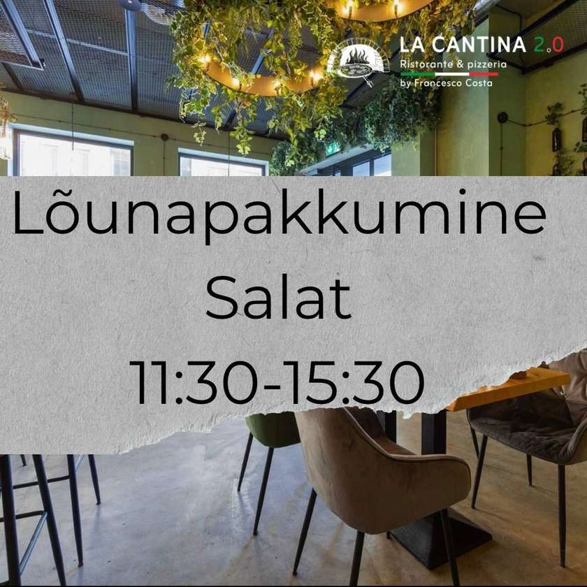 Salad - Lunch Special