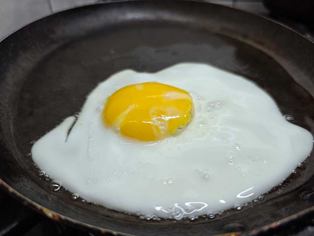 egg