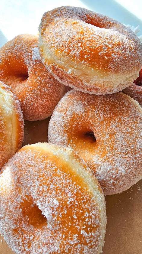 Plain Doughnut
