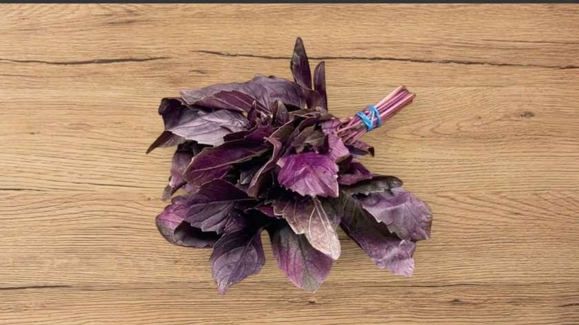 Violet Basil