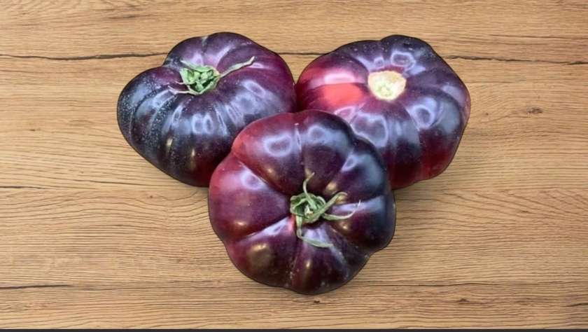 Jaguar Paw tomatoes
