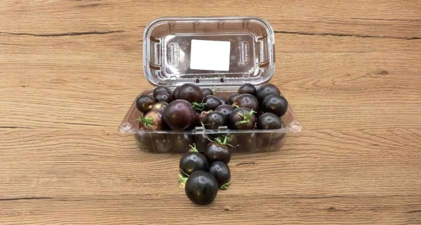 Blueberry Cherry tomatoes 500g