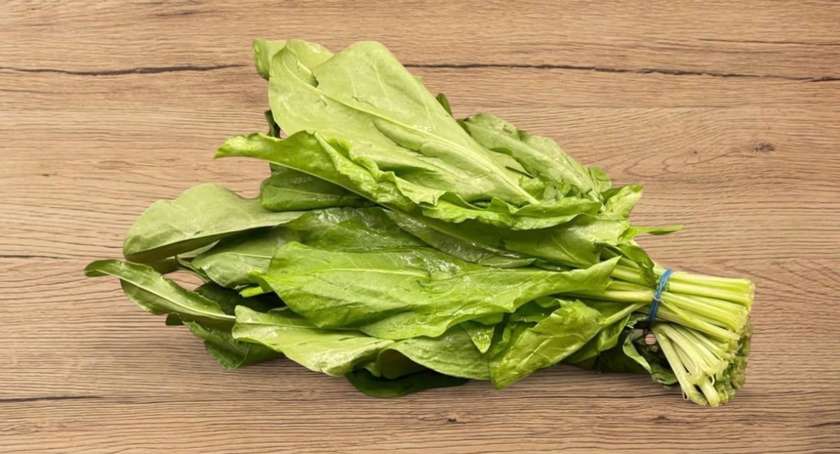 Sorrel