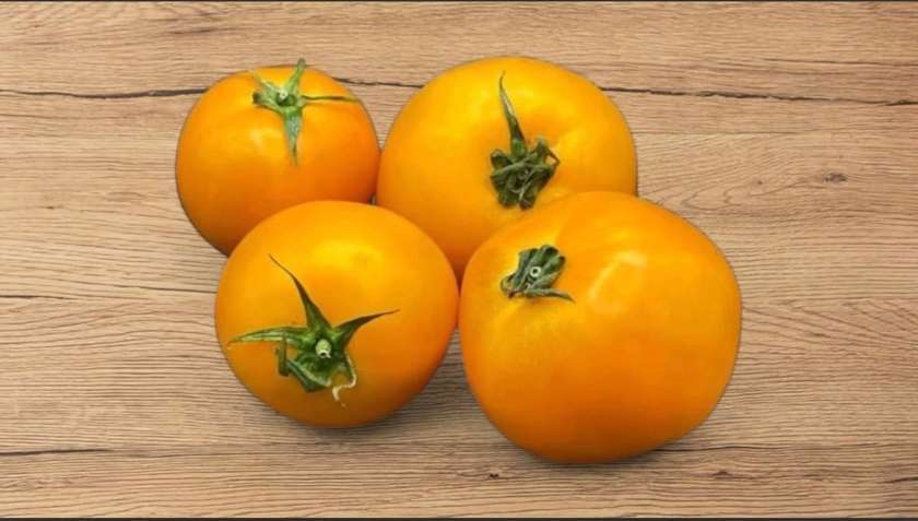 Yellow tomatoes