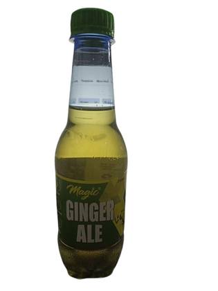Magic Ginger Ale 300ml